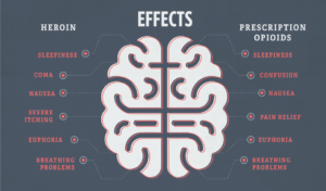 graphic of effects of opiods on the brain