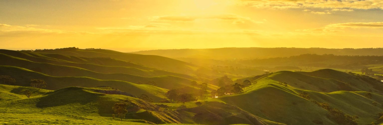 covenant hills rehab for drug and alcohol addiction in orange county california - covenant hills