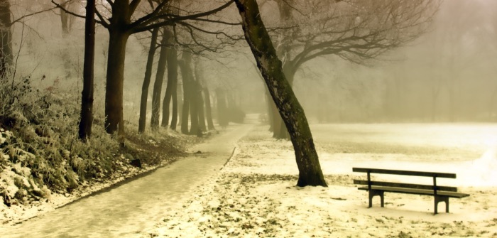 How Seasonal Affective Disorder (SAD) and Depression Can Make Recovery Difficult