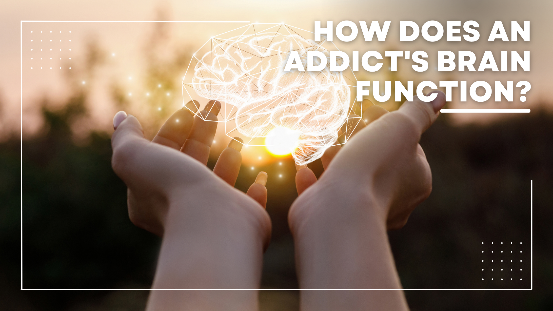 How Does an Addict’s Brain Function?