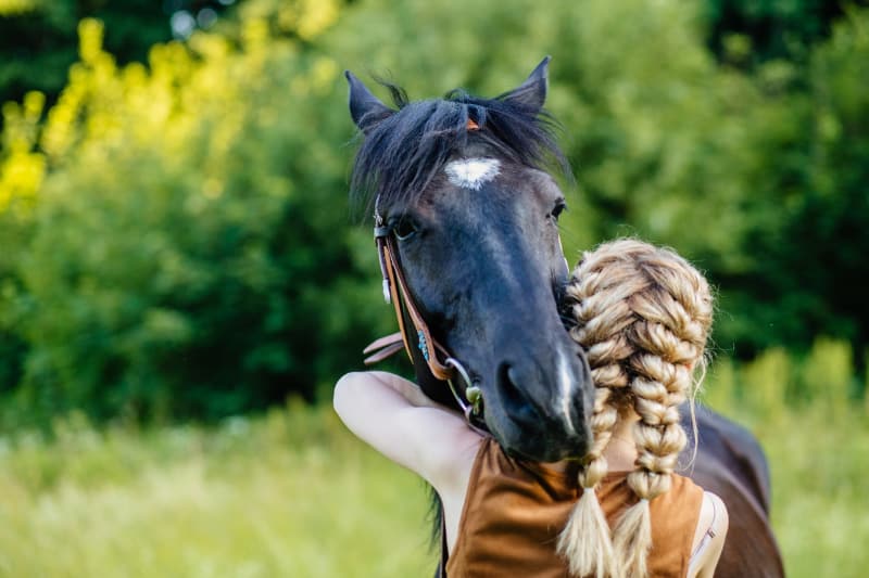 Equine therapy in orange county CA for addiction