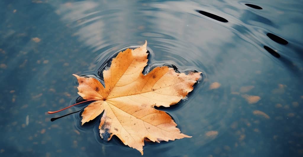 A close-up of a single leaf floating gracefully on the surface of a pond, surrounded by gentle ripples, symbolizing the calm and reflective nature of humility in the recovery process.